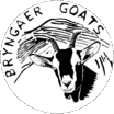 Bryngaer Goats Cheese