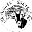 Bryngaer Goats