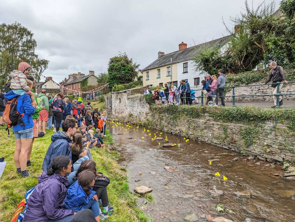 Duck Race 3