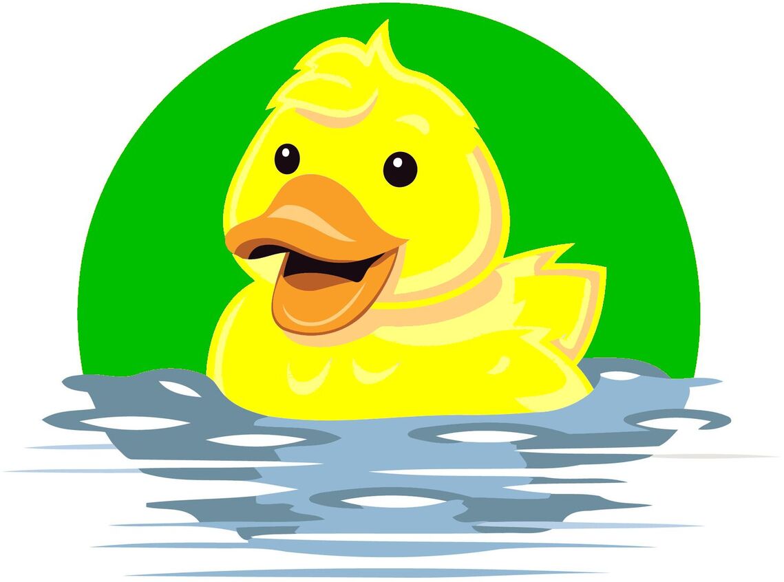 New_duck